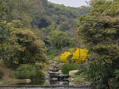 -云溪植物园