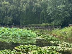 -棒棰岛宾馆景区