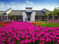 -洪湖湿地生态园