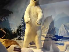 -陕西自然博物馆