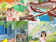 -正佳雨林生态植物园