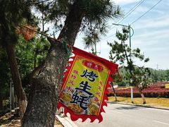 -养马岛旅游度假区