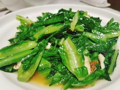 白灼油麦菜-和记小菜(大宁店)