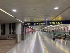 -上海浦东国际机场-T2航站楼