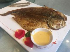 -赶海部落海鲜城(海阳路店)