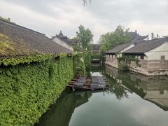 -鲁镇