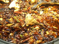 -吞鱼兽麻辣烤鱼(万达店)