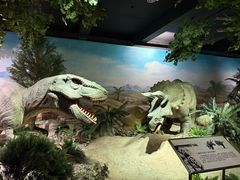 -国家自然博物馆