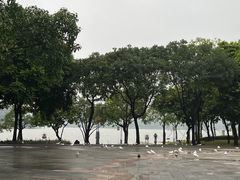 -顺峰山公园