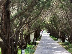 -洛阳古墓博物馆