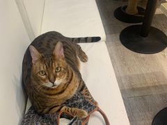 -小时光咖啡馆(北锣鼓巷店)