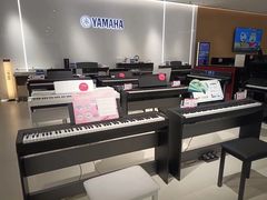 -雅马哈乐器专卖店(广州旗舰店)