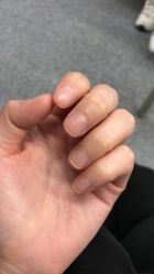-BELLAREAL新美社