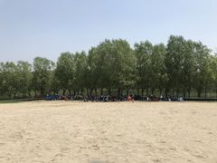 -东郊湿地公园