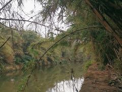 -白鹭湾湿地公园