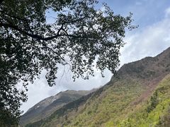 -叠溪松坪沟景区