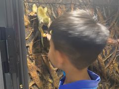 -北戴河圣蓝海洋公园