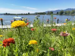 -野鸭湖国家湿地公园