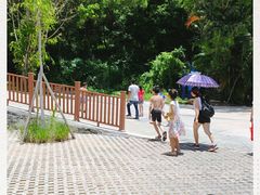 -广东惠东海龟国家级自然保护区