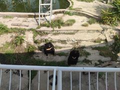 -天津市动物园