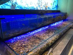 -透明思烤·自助烤肉海鲜火锅(东部星悦天地店)