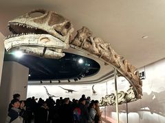 -自贡恐龙博物馆