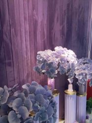 -孔雀手美甲美睫护理