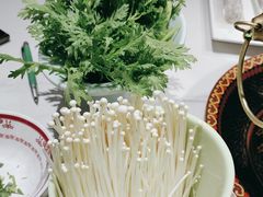 -曲氏老北京铜锅涮肉•火锅(不老街店)