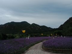 -密云玫瑰情园