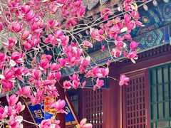 -潭柘寺景区