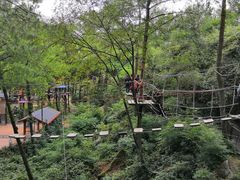 -梦幻奥陶纪景区