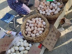 -蒲河大集