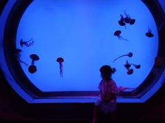 -沈阳海洋探索中心