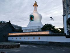 -西塔大冷面(市府大路店)