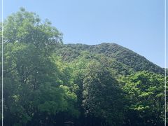 -梧桐山风景名胜区