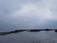 -太湖湖滨国家湿地公园-停车场