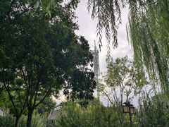 -西海子公园
