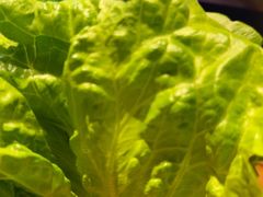 -炉小哥烤肉(信万广场店)