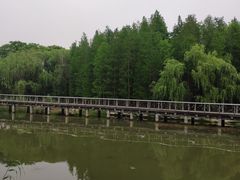 -蠡湖大桥公园
