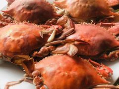 -望海潮海鲜店 特色家常菜(在海一方店)