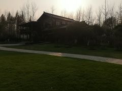 -合肥滨湖国家森林公园