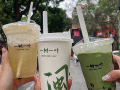 -一树一叶·福建茶档(石鼓路店)