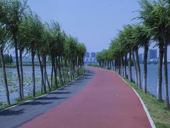 -艾溪湖湿地公园