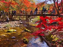 -香炉山国家森林公园