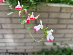 -上海交通大学(闵行校区)