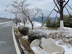 -江南天池