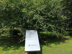 -苏州河梦清园环保主题公园