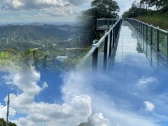 -黄埔油麻山森林公园