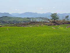 -牙胡梯田