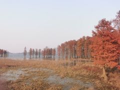 -四明湖